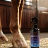 HOOF CARE & PROTECT<br>Tırnak, Deri ve Tüy Bakım Spreyi