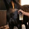 Coat_Oil_Urun_lifeatyle COAT OIL<br>Deri, Tüy, Kuyruk ve Yele Bakım Yağı