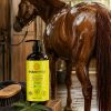 Deep_Cleen_Shampoo_life DEEP CLEAN SHAMPOO FOR NORMAL COAT<br>Şampuan