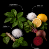 Equusense_DETANGLING LEAVE IN CONDITIONER (LIC)- (1) DETANGLING LEAVE IN CONDITIONER (LIC) <br>Kuyruk ve Yele Bakım Spreyi